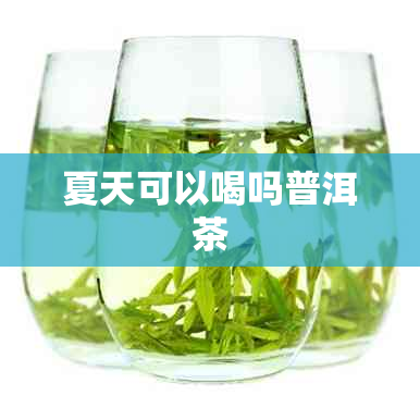 夏天可以喝吗普洱茶