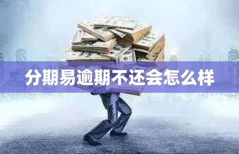 分期易逾期不还会怎么样