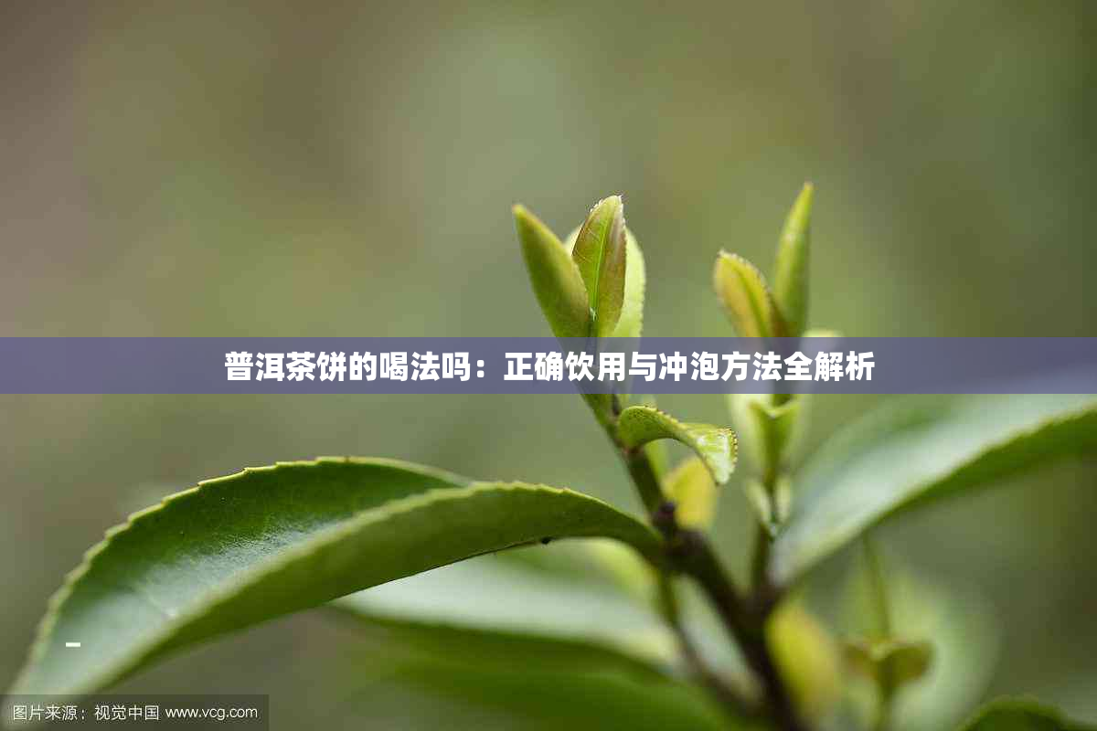 普洱茶饼的喝法吗：正确饮用与冲泡方法全解析