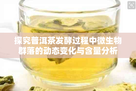 探究普洱茶发酵过程中微生物群落的动态变化与含量分析