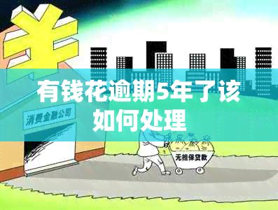 有钱花逾期5年了该如何处理