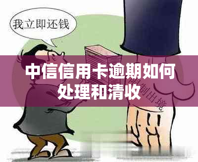 中信信用卡逾期如何处理和清收