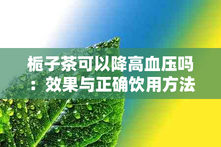 栀子茶可以降高血压吗：效果与正确饮用方法