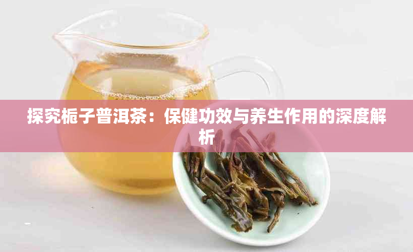 探究栀子普洱茶：保健功效与养生作用的深度解析