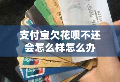 支付宝欠信用卡不还会怎么样怎么办