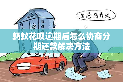 蚂蚁信用卡逾期后怎么协商分期还款解决方法