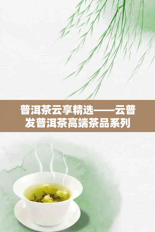 普洱茶云享精选——云普发普洱茶高端茶品系列