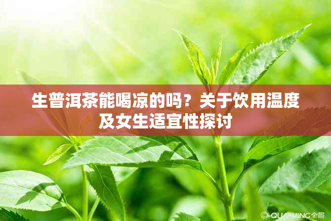 生普洱茶能喝凉的吗？关于饮用温度及女生适宜性探讨
