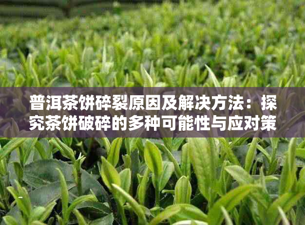 普洱茶饼碎裂原因及解决方法:探究茶饼破碎的多种可能性与应对策略