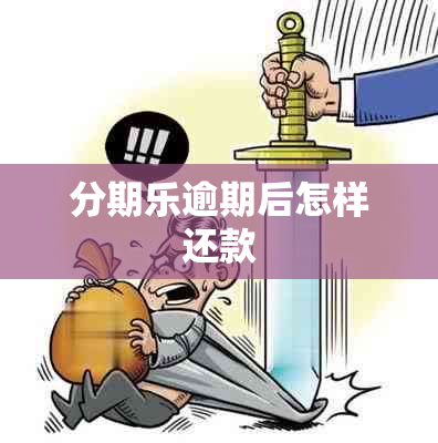 分期乐逾期后怎样还款