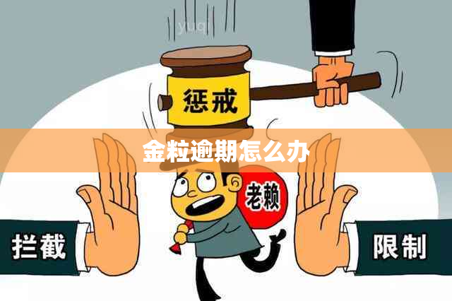 金粒逾期怎么办