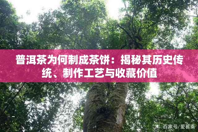 普洱茶为何制成茶饼:揭秘其历史传统、制作工艺与收藏价值