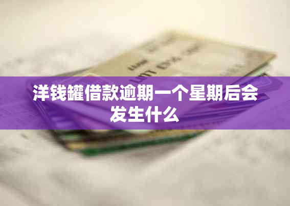 洋钱罐借款逾期一个星期后会发生什么