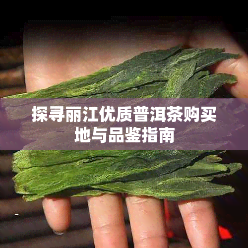 探寻丽江优质普洱茶购买地与品鉴指南