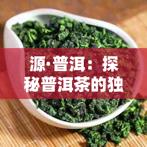 源·普洱：探秘普洱茶的独特韵味与品鉴之道