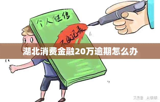湖北消费金融20万逾期怎么办