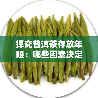 探究普洱茶存放年限：哪些因素决定普洱茶的长久存放与品质保持