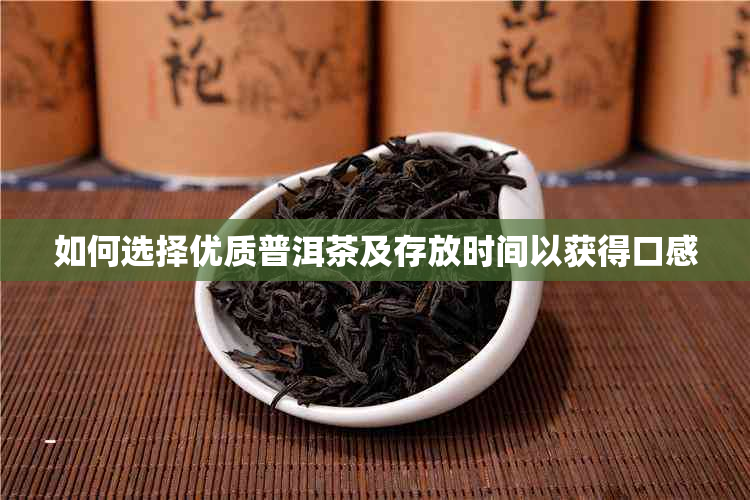 如何选择优质普洱茶及存放时间以获得口感