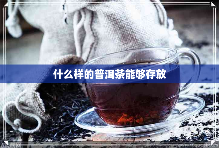 什么样的普洱茶能够存放