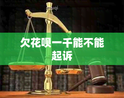 欠信用卡一千能不能起诉