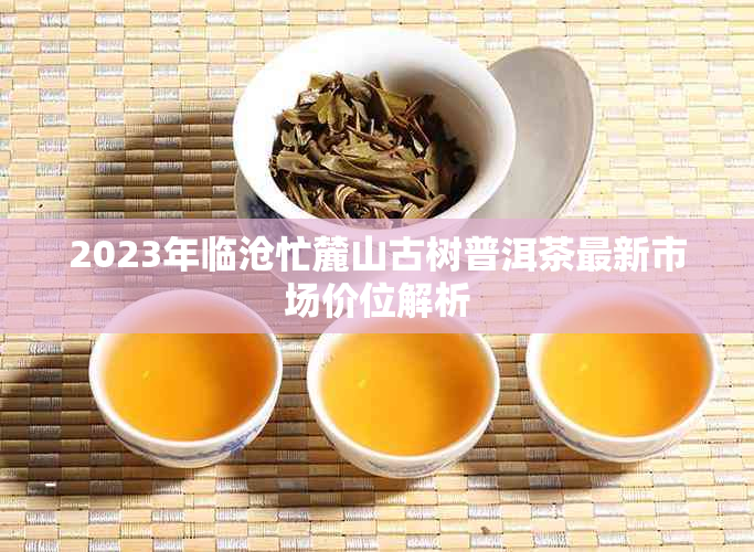 2023年临沧忙麓山古树普洱茶最新市场价位解析