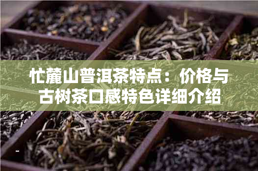 忙麓山普洱茶特点:价格与古树茶口感特色详细介绍