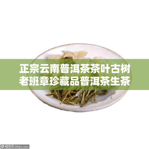 正宗云南普洱茶茶叶古树老班章珍藏品普洱茶生茶-普洱千年古茶树老班章