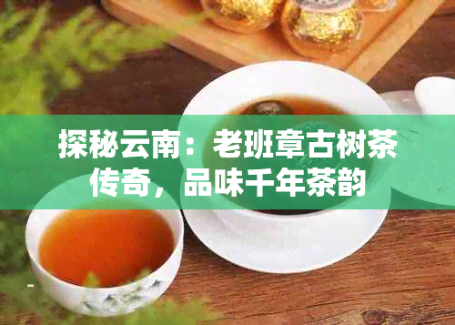 探秘云南：老班章古树茶传奇，品味千年茶韵