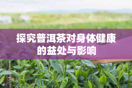 探究普洱茶对身体健康的益处与影响