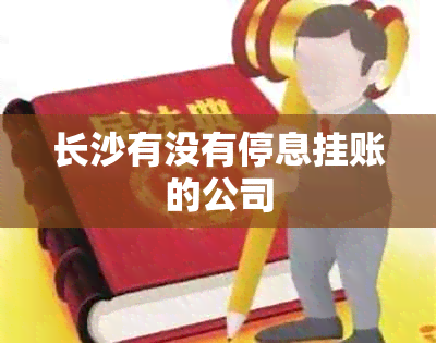 长沙有没有停息挂账的公司