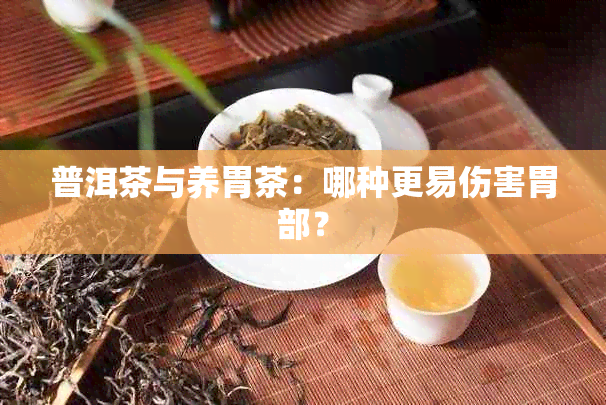 普洱茶与养胃茶:哪种更易伤害胃部?