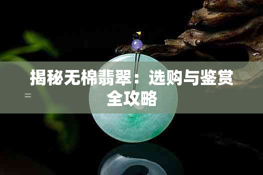 揭秘无棉翡翠：选购与鉴赏全攻略