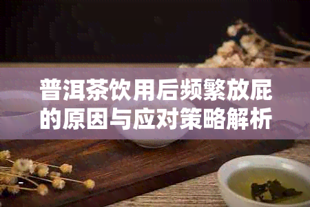 普洱茶饮用后频繁放屁的原因与应对策略解析