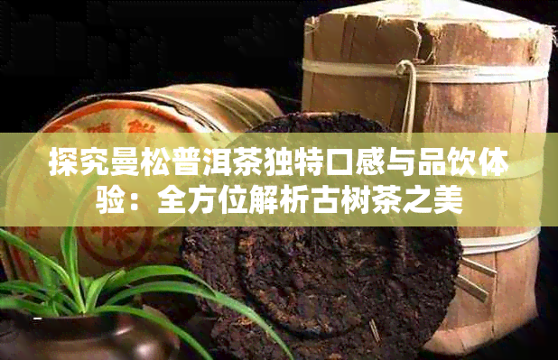 探究曼松普洱茶独特口感与品饮体验:全方位解析古树茶之美