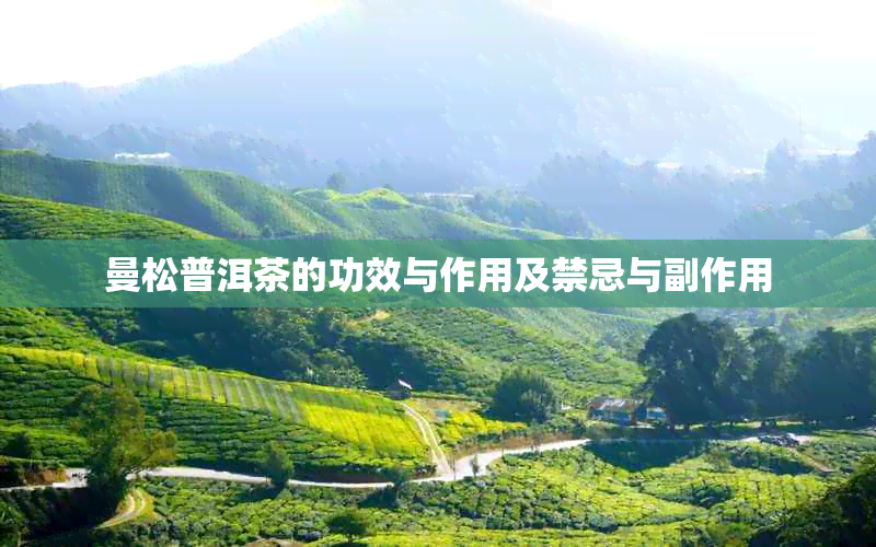 曼松普洱茶的功效与作用及禁忌与副作用