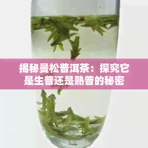 揭秘曼松普洱茶:探究它是生普还是熟普的秘密
