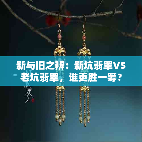 新与旧之辨:新坑翡翠VS老坑翡翠,谁更胜一筹?