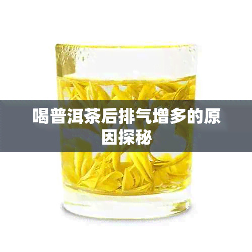 喝普洱茶后排气增多的原因探秘