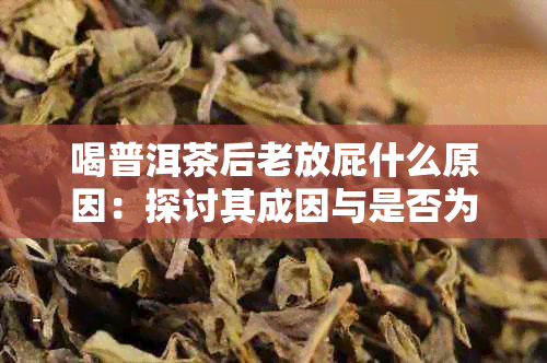 喝普洱茶后老放屁什么原因:探讨其成因与是否为好现象