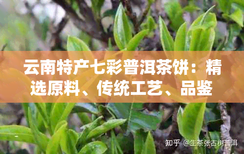 云南特产七彩普洱茶饼:精选原料、传统工艺、品鉴指南与购买攻略