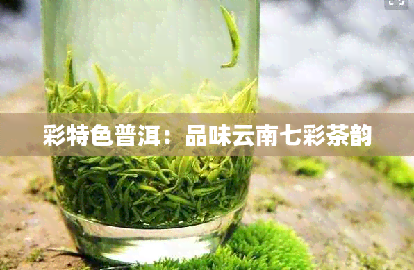 彩特色普洱:品味云南七彩茶韵