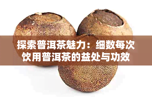 探索普洱茶魅力:细数每次饮用普洱茶的益处与功效