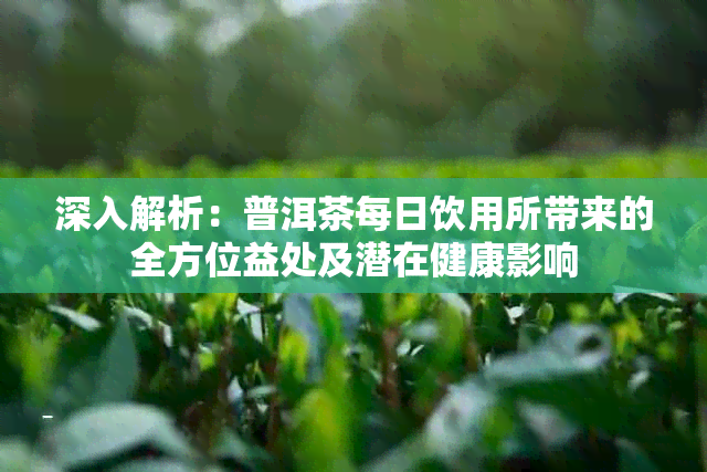 深入解析:普洱茶每日饮用所带来的全方位益处及潜在健康影响