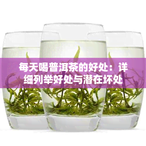 每天喝普洱茶的好处:详细列举好处与潜在坏处