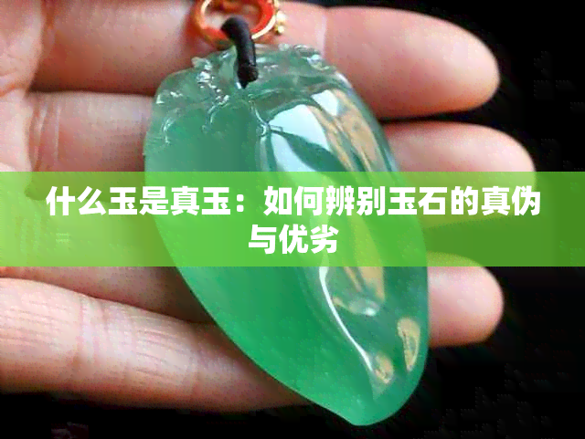 什么玉是真玉:如何辨别玉石的真伪与优劣
