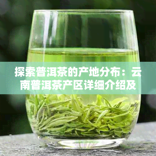 探索普洱茶的产地分布：云南普洱茶产区详细介绍及地理特征分析