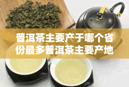 普洱茶主要产于哪个省份最多普洱茶主要产地省份介绍