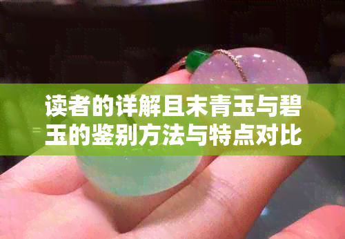 读者的详解且末青玉与碧玉的鉴别方法与特点对比