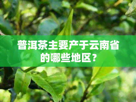 普洱茶主要产于云南省的哪些地区？