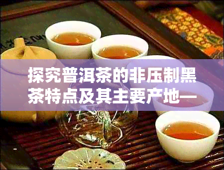 探究普洱茶的非压制黑茶特点及其主要产地——聚焦云南普洱茶产区